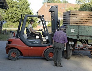 Gabelstapler fahren ohne Führerschein? Das gilt auf dem Hof
