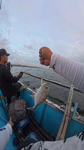 Fish Hunter on Reels