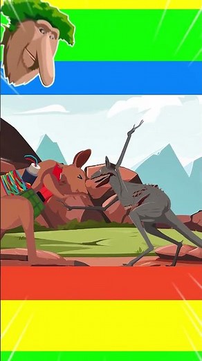 Zoochosis Wallaby vs Kangurutu Bomborutu