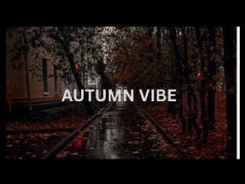 Autumn Vibe Rain Wind Bushes Sounds