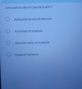 Articulation site of clavicle is with?Xiphoid process of stern... | Filo