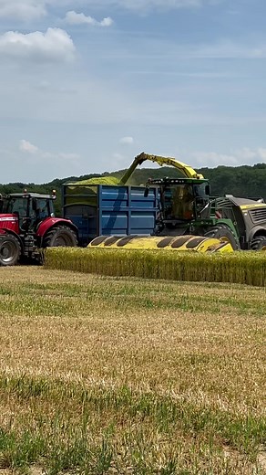 John Deere 9900i forage Harvester chopping hybrid barley. Full video and info coming on this evenings post. #reels #farmingvideo #prohorizon | Pro Horizon Farming Content