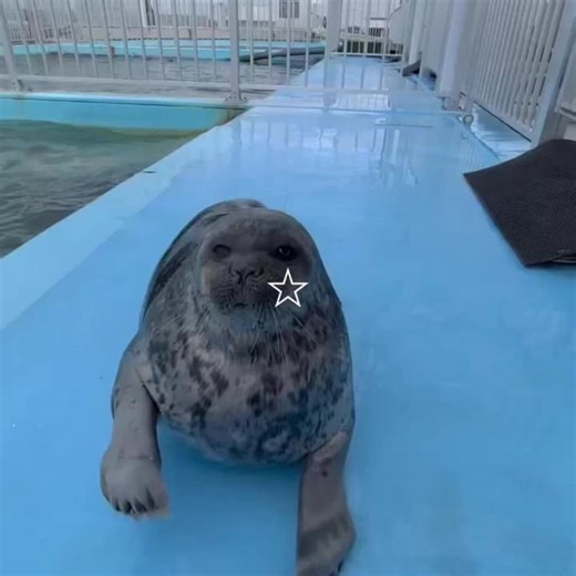 ali ꩜ *. ⋆ on TikTok