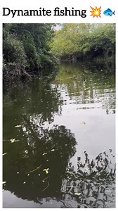 62K views · 402 reactions | Dynamite fishing  watch till the end  | Rohan | Facebook