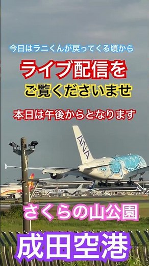 午後からライブ配信をお楽しみくださいませ🙏👍#shorts #成田空港 #フライングホヌ #ラニくん #aviation #loveflightjack#さくらの山公園 #飛行機好き #飛行機