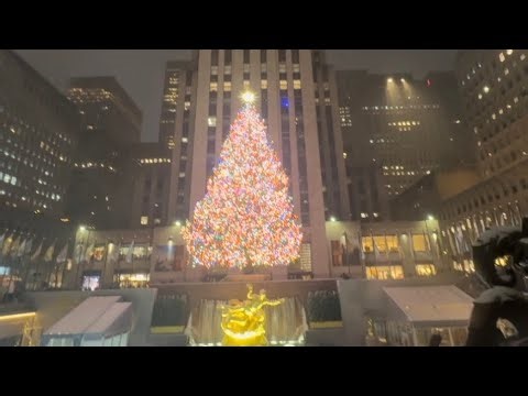 Beautiful snowfall in New York- Dec.26.2025 🎄🎅❤️
