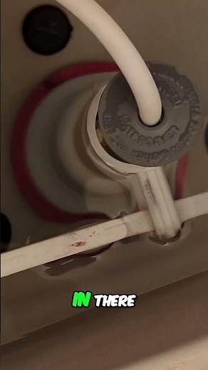 How to Repair a Mansfield Flush Valve Seal Easy and Affordable DIY Fix