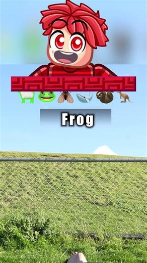 Jak by ZVÍŘÁTKA Přeskočila Plot... #shorts