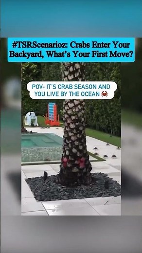Are Y'all Grabbing A Pot For These Crabs? 🦀😳
