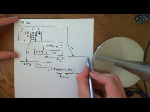 Joint Probability Mass Functions Part 1