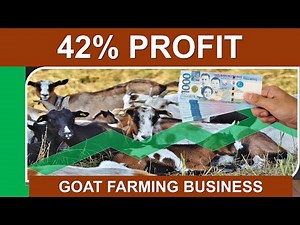 Complete Guide for Starting A Goat Farming Business & Your Return of Investment for 1 Buck & 5 Does