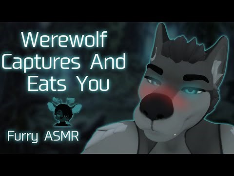 [Furry ASMR] Werewolf Captures And Eats You (Vore, Kissing, Licking, Petting)