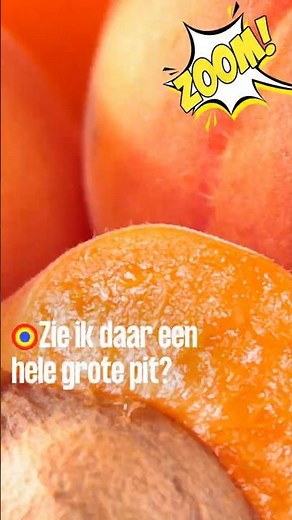 Which fruits do you know with a large pit❓ ... 🧐 | Zoom S3#64 | Kindertijd KRO-NCRV