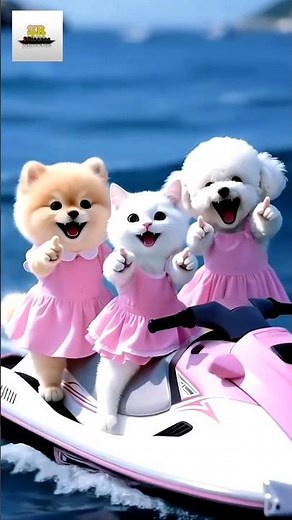 Cats Best Friends Forever 😻 | Cutest Cat Friendship Story