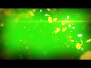 Green Screen Wedding Slideshow | Free to use HD | Wedding Invitation