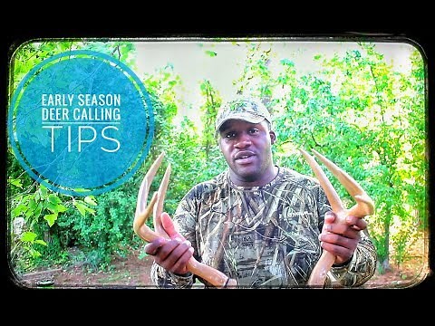 Early Season Deer Calling Tips