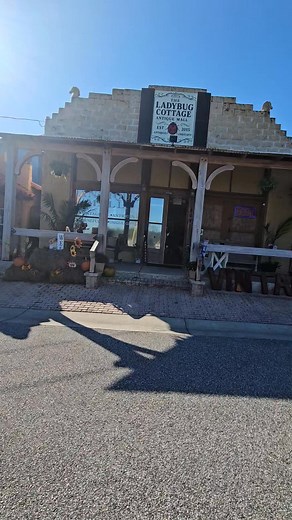 26 reactions | ✨ Fall Charm Meets Christmas Magic at The Ladybug...