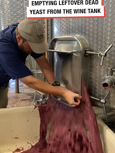 The Process of Making Red Wine Revealed