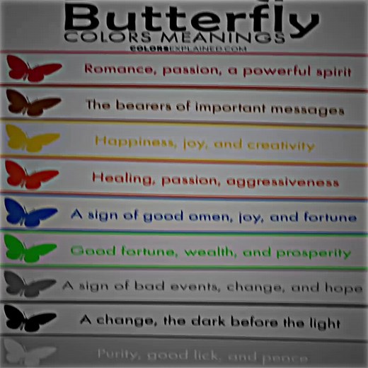 Exploring the Meaning of Butterfly Colors