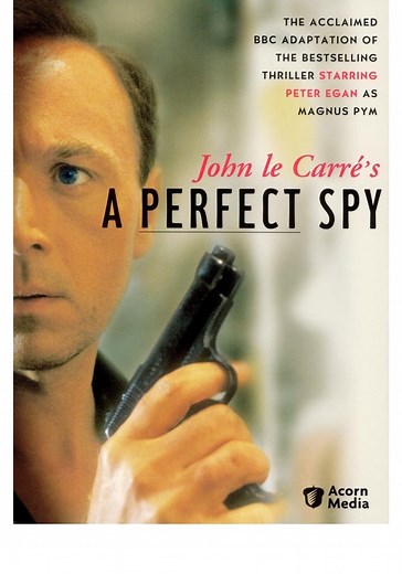 A Perfect Spy - streaming tv show online