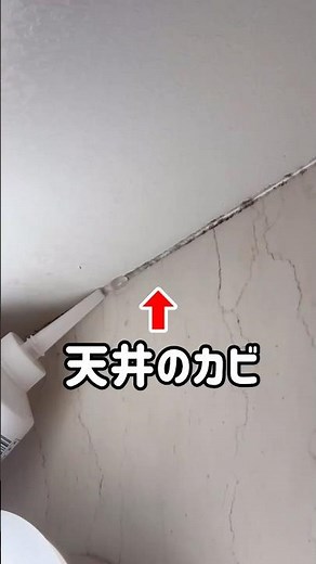 【風呂掃除】天井のカビを簡単に落とす方法
