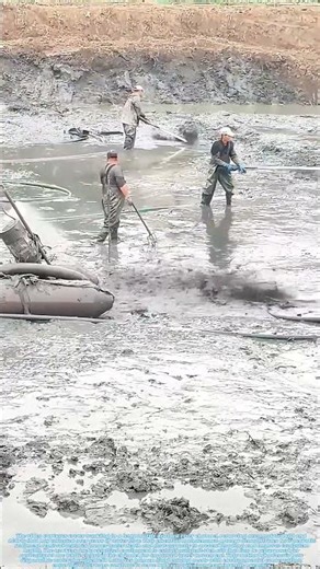 Draining for Renewal: How Riverbed Restoration Preserves Waterway Health