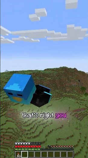 Hide Your Armor in Minecraft?! 🛡️🤯