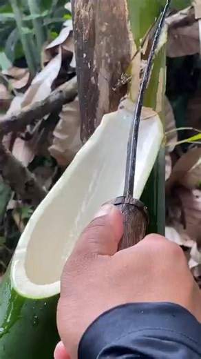 Runner Kids Game on Reels