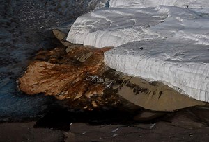 Scientists Solve Century-Old Mystery Surrounding Blood Falls in Antarctica