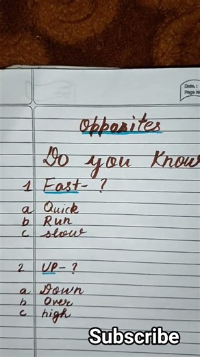 🏆 English Olympiad Quiz – Level 1