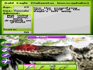 Zoo Vet Endangered Animals Eagle Gameplay