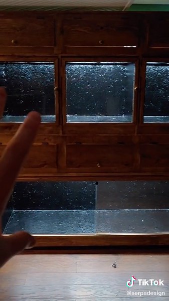 Custom Built Plywood Vivarium Tour