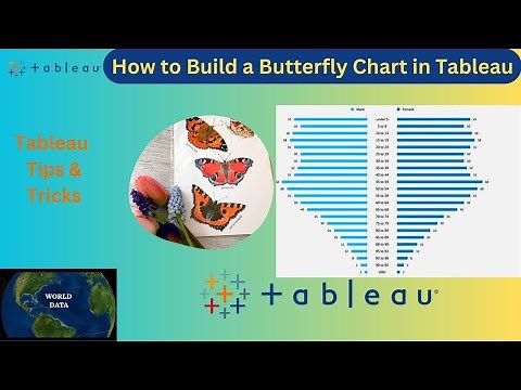 Step by Step Guide on How to Build a Butterfly Chart in Tableau