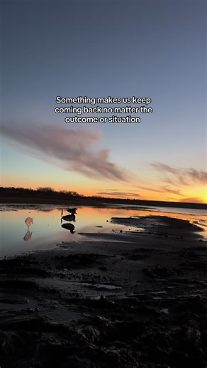 Exploring the Mystery of Waterfowl in Nebraska
