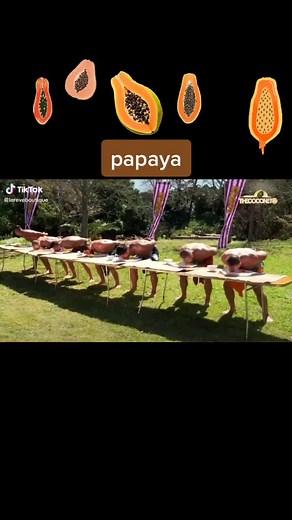 Polynesian Men Papaya Eating Contest