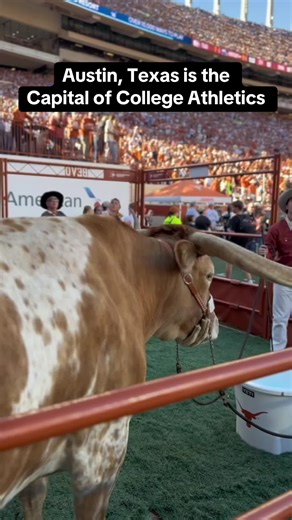 Texas Longhorns: Most Valuable Athletic Program Revealed