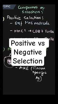 Positive vs Negative Selection of T Cells | T Cell Development in Thymus Explained | Immunology