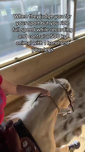 reining.rosie op TikTok