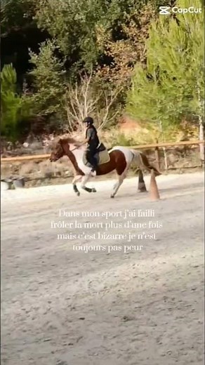#horse #equitation