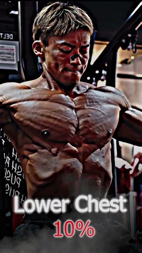 Seated Pec Deck Fly #shorts #fitness #motivation #chestworkout