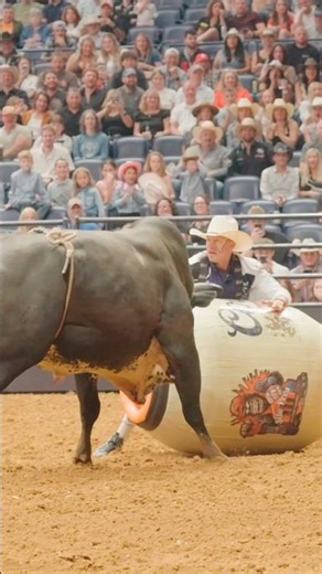 Bull power vs. the bull fighters at Music City Rodeo ft. Cody Webster and Dusty Tuckness #rodeo