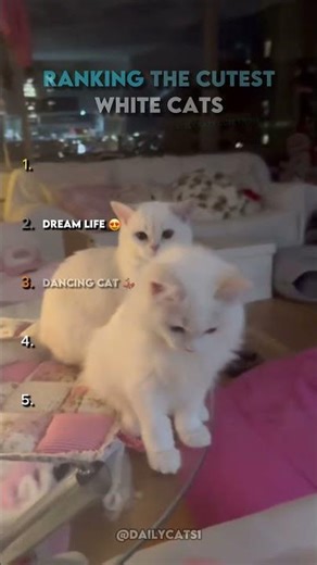100% The CUTEST White Cats IN THE WORLD! 😺😍❤️ | #cat #viral