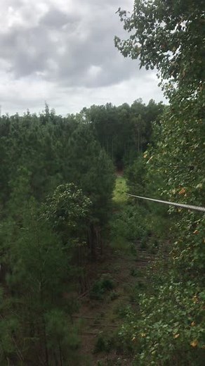 Virtual Zipline! What a way to end the Treetop Adventure experience at Freedom Park in Williamsburg, VA. Reach your arms out and you can almost touch the leaves! | Go Ape USA