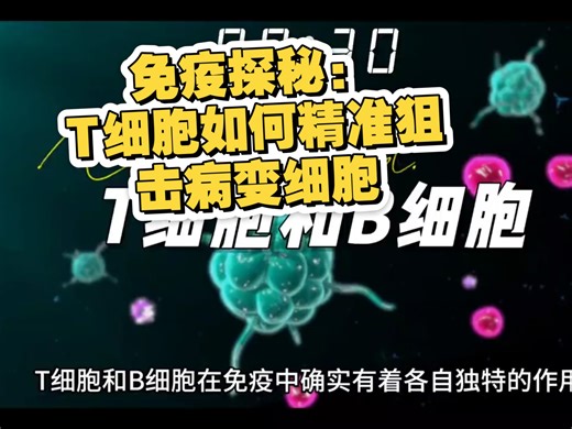 免疫探秘：T细胞如何精准狙击病变细胞