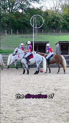 First Time Playing a Real Horseball Match 🐴 #horse #equestrianjourney #history