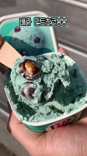 민초봉봉 🍃 민트향 엄청 강한 민트초코 아이스크림 먹방!