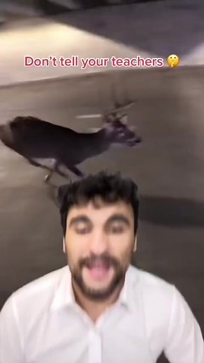 Transforming Root into Exponent with Chain Rule