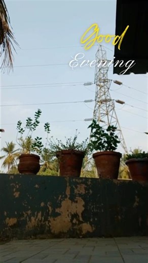 10 day challenge 𝐃𝐚𝐲 𝟐