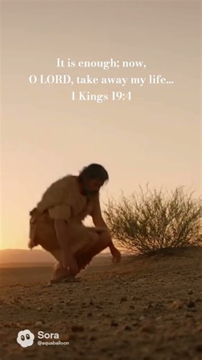 Under the Juniper Tree