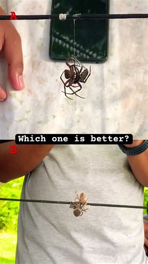 Which one is your bet?